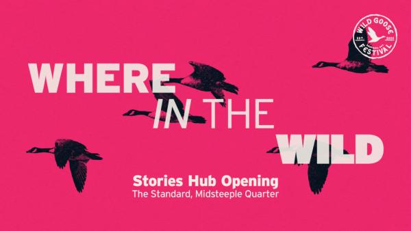 Wild Goose Festival Stories Hub