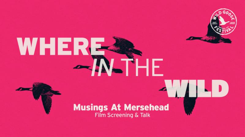 Musings At Mersehead
