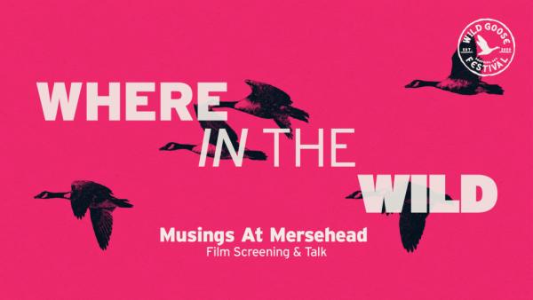 Musings At Mersehead