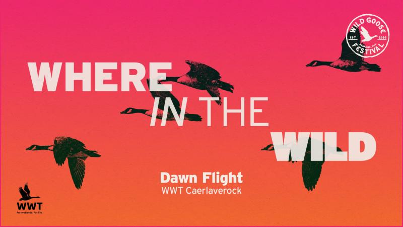 Dawn Flight with WWT