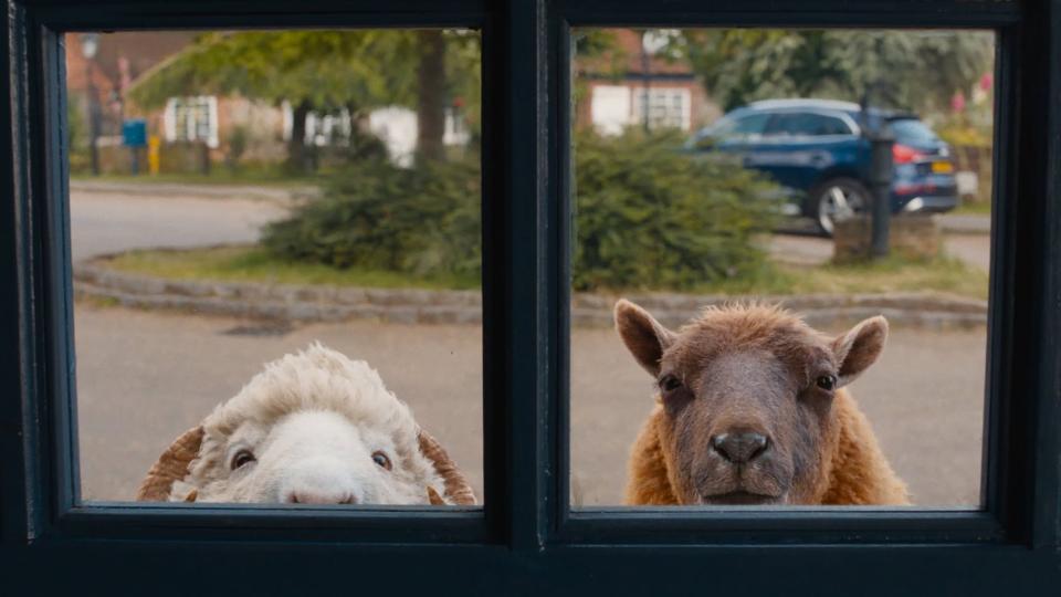 The Sheep Detectives (PG) Bring a baby screening