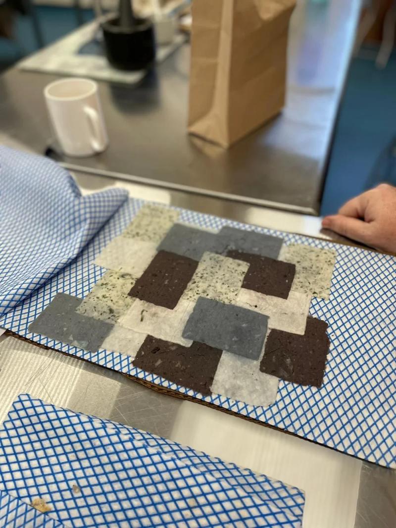 Paper Making with Plants
