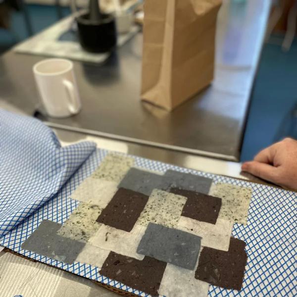 Paper Making with Plants