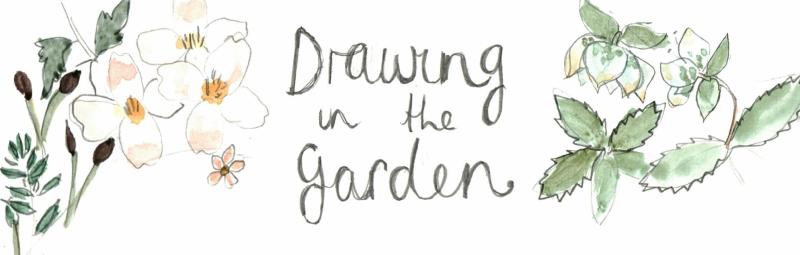 Drawing in the garden