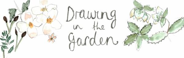 Drawing in the garden