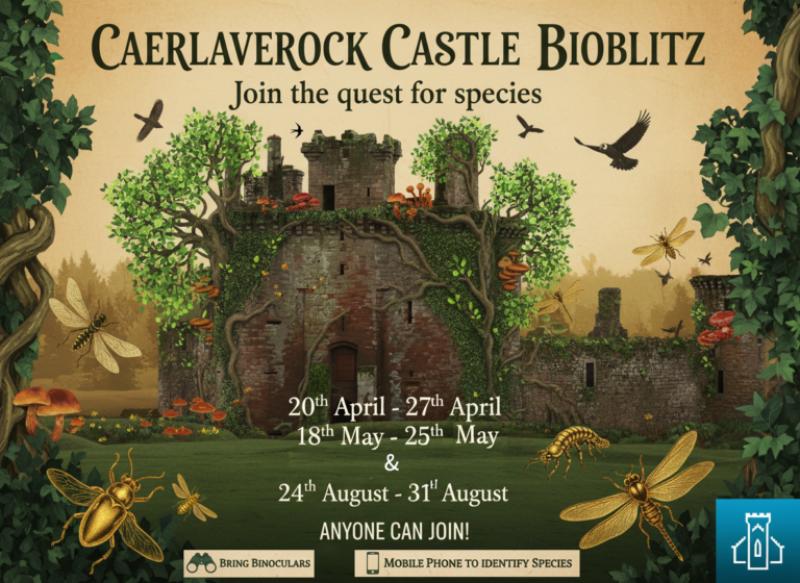 Caerlaverock Castle BioBlitz