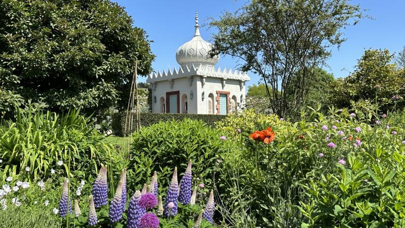 Orroland Garden Open Day