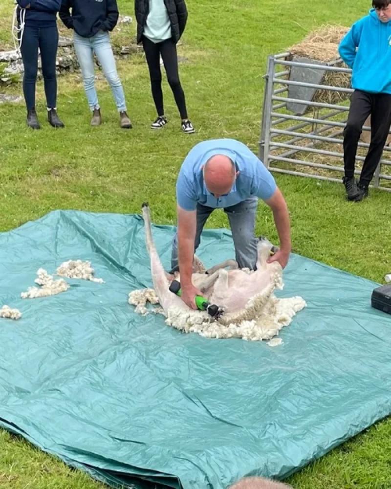 Shearing Demonstration