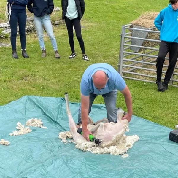 Shearing Demonstration