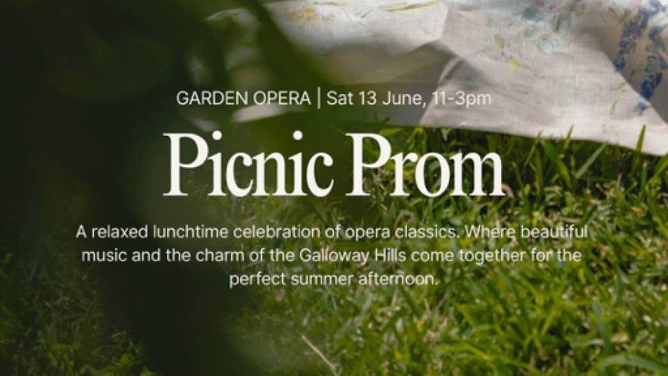 Summer Picnic Prom
