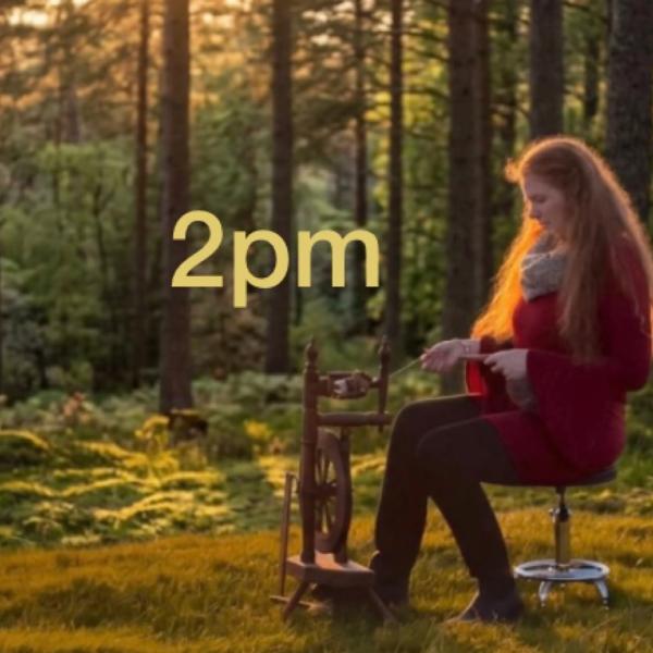 Spin the Forest Workshop 🌲