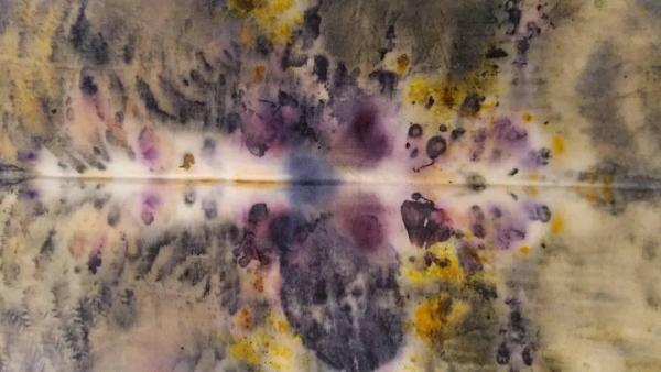 Eco Printing onto Fabric with Flowers, Leaves and Berries