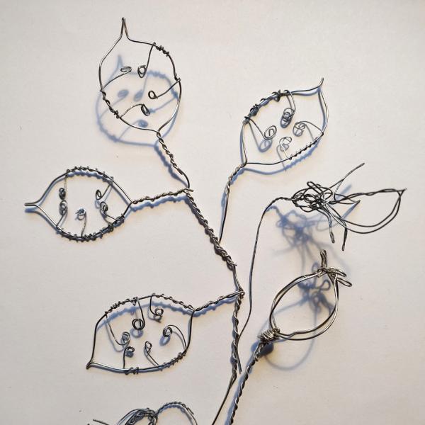 Seed Heads: Drawing with Wire