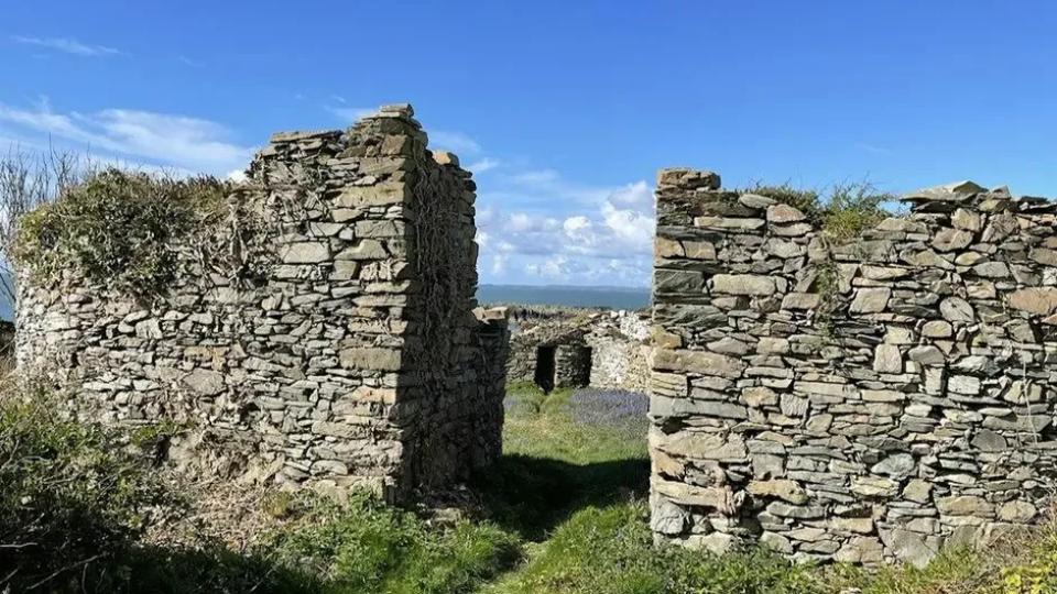 SWSARF Workshop - Iron Age and Roman (Dumfries)
