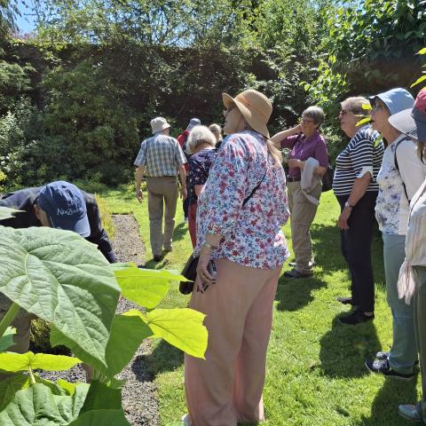Discover Dumfries u3a — photo 4