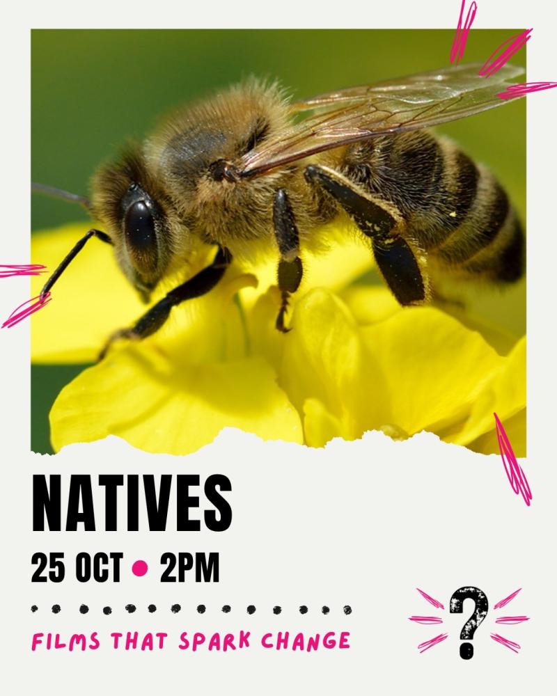 Natives – Saving Scotland's Original Honey Bees