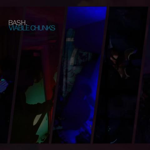 Bash + The Sound Rays — photo 2