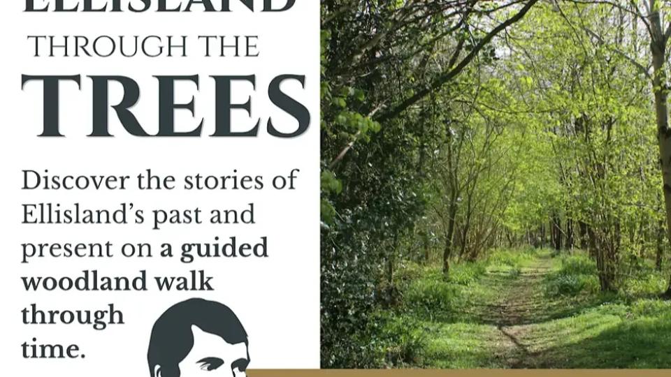 Ellisland Through the Trees: A Woodland Walk through Time